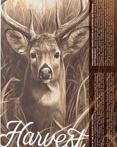 BARNES HARVEST 243 WIN 90GR - TIPPED GAMEKING 20RD 10BX/CS