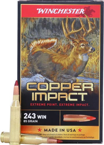 WINCHESTER COPPER IMPACT 243 - WIN 85GR 20RD 10BX/CS - Image 2