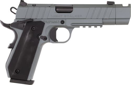 TISAS 1911 B9BA NSSF-C 9MM – 4.25″ BBL 10RD W/CASE GREY