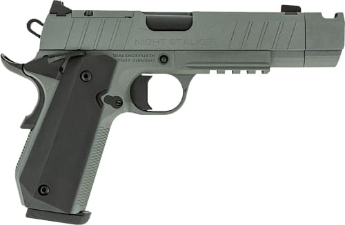 TISAS 1911 B45BA NSSF-C 45ACP – 4.25″ BBL 8RD W/ CASE GREY