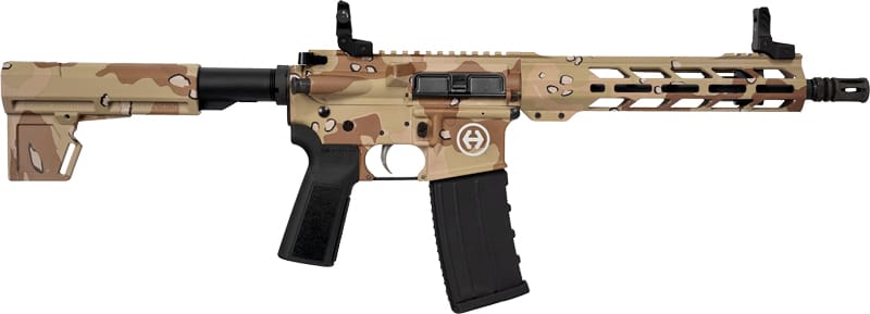 HIPOINT PISTOL HP-15 300 AAC – 10.5″ 30RD BLADE BRACE STORM