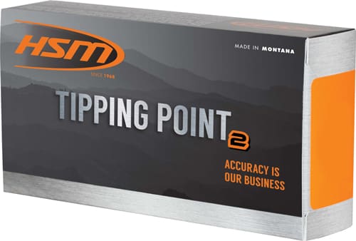 HSM 6MM ARC 95GR SST 20RD – 25BX/CS