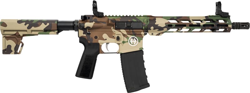 HIPOINT PISTOL HP-15 5.56 – 10.5″ 30RD BLADE BRACE M81