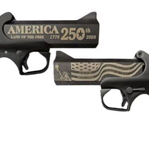 BOND ARMS 250 ANV. 45LC/410 - 4.25 BLACK CERAKOTE B6 GRIPS
