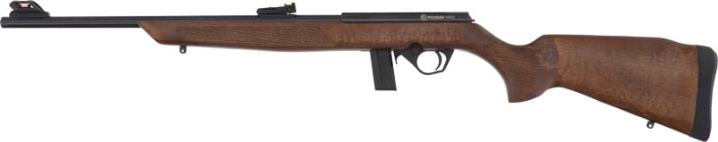 ROSSI RB22 22LR RIFLE BOLT – 18″ MATTE WOOD