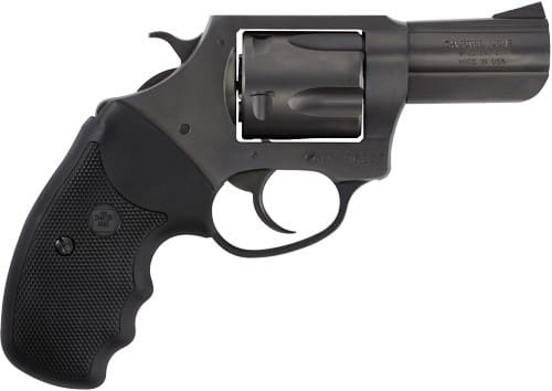 CHARTER ARMS BULLDOG 44SPL - 2.5" NITRIDE - Image 2